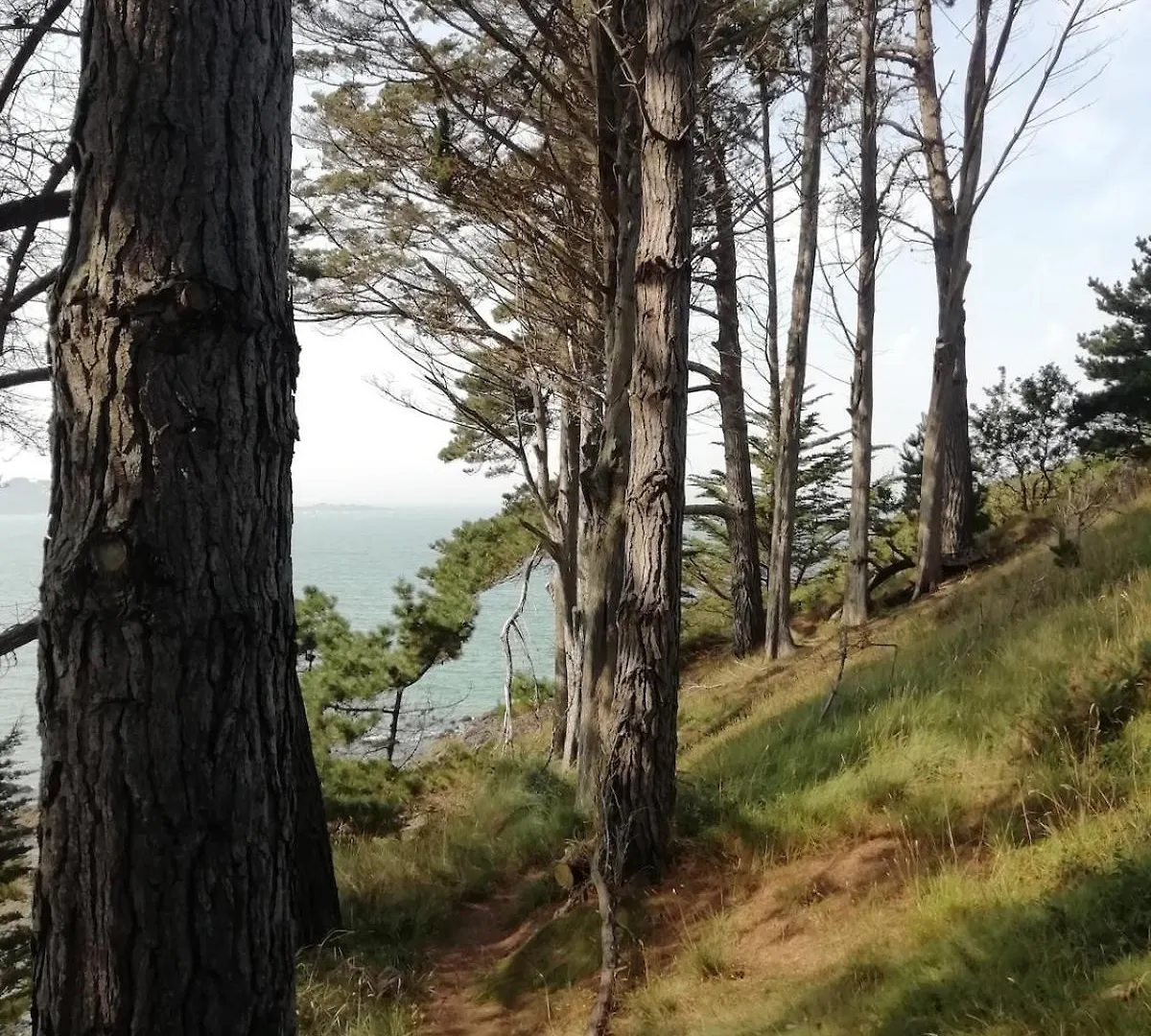 Gite De Charme Entre Mer Et Campagne, 4 Etoiles Plestin-les-Grèves